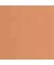 PIGMENTS 200333320