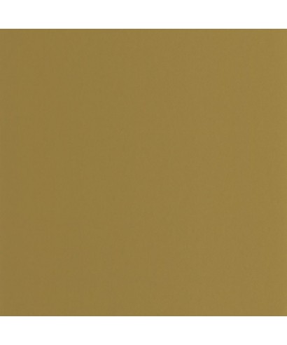 PIGMENTS 200337474
