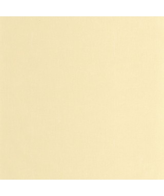 ETAMINE 200252121