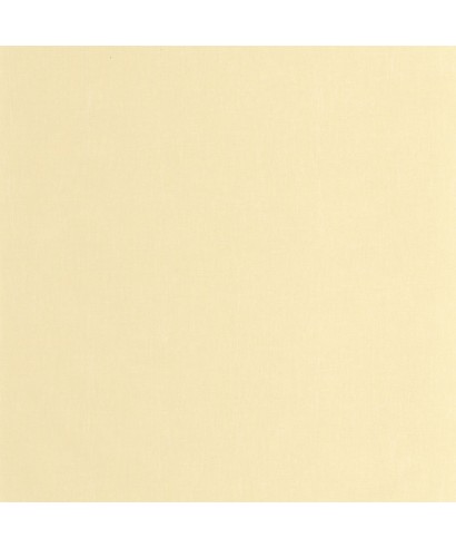 ETAMINE 200252121