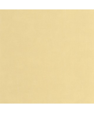 ETAMINE 200252222