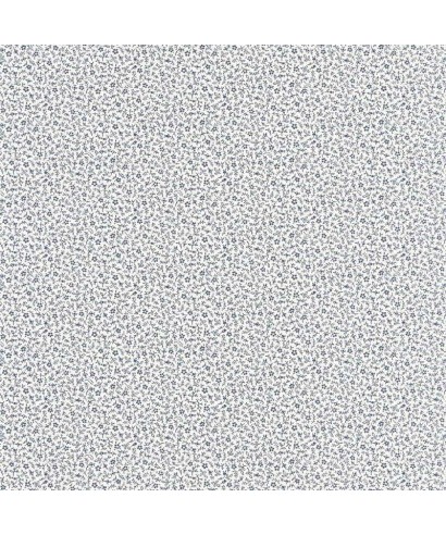 MYOSOTIS 89236228