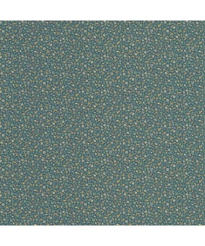 MYOSOTIS 89236434