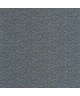 MYOSOTIS 89236505