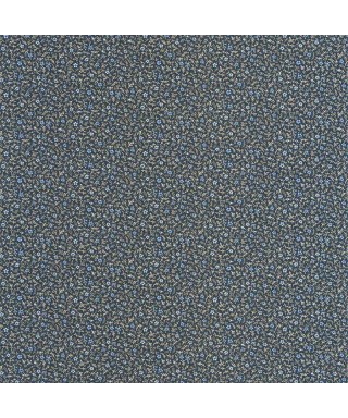 MYOSOTIS 89236505