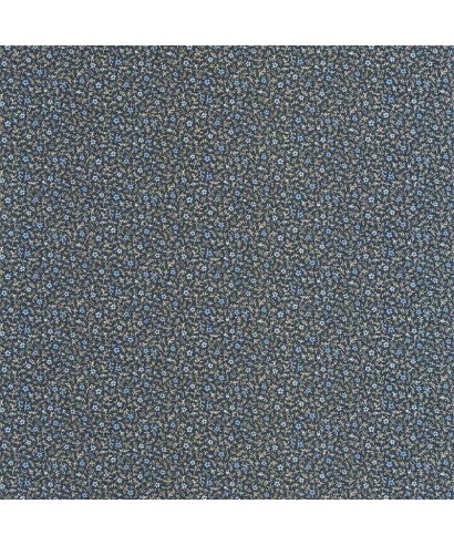 MYOSOTIS 89236505