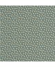 DARWIN TULIP 89257407