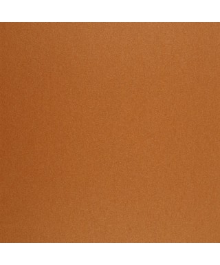 EXCEPTION UNI 25233307