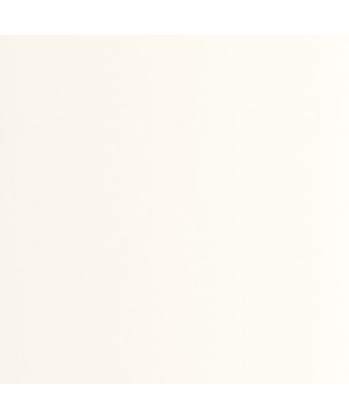 PIGMENTS 200330000