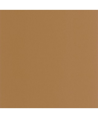 PIGMENTS 200332626