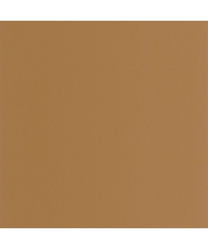 PIGMENTS 200332626