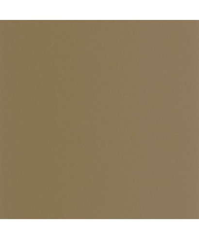 PIGMENTS 200332707