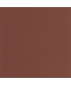 PIGMENTS 200332808