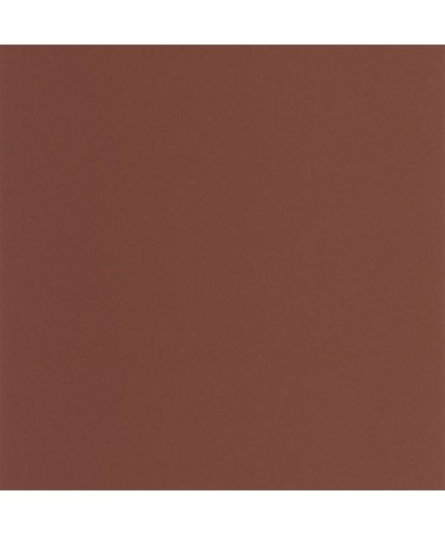 PIGMENTS 200332808
