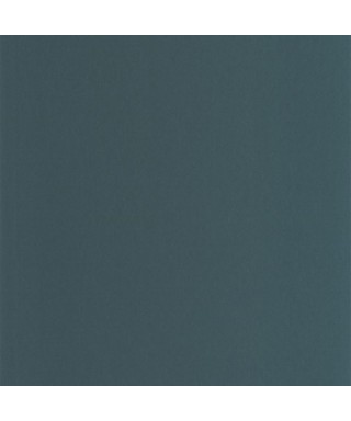 PIGMENTS 200336868