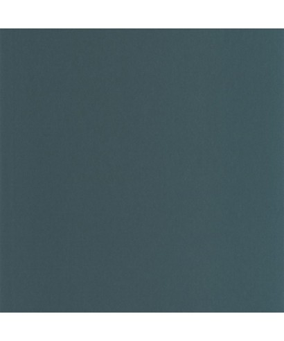 PIGMENTS 200336868