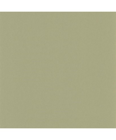 PIGMENTS 200337337