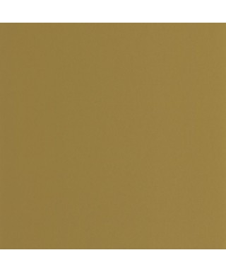 PIGMENTS 200337474