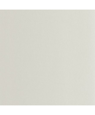 PIGMENTS 200339119