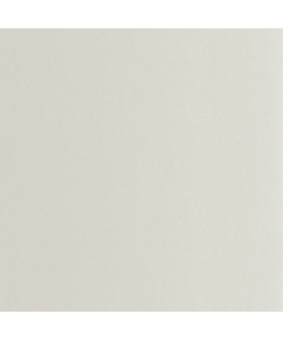 PIGMENTS 200339119