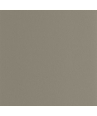 PIGMENTS 200339404