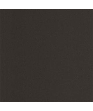 PIGMENTS 200339559