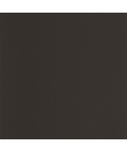 PIGMENTS 200339559