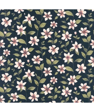 CLEMATITES 87646748