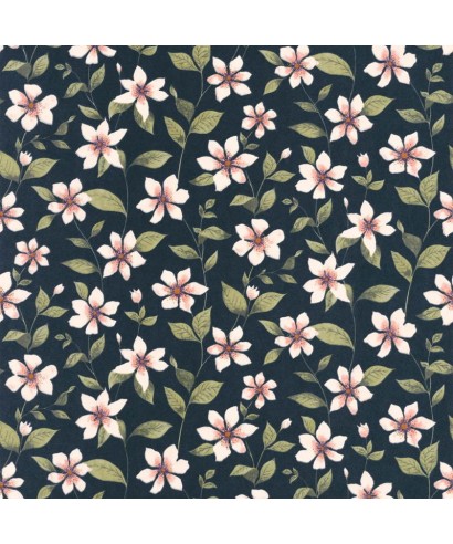 CLEMATITES 87646748
