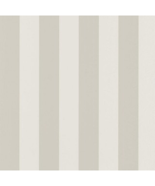 BALTIC RAYURE 29251116