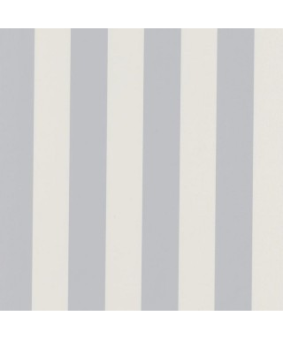 BALTIC RAYURE 29256103