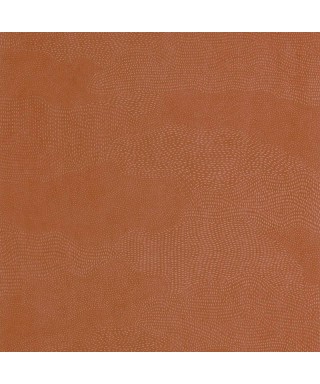 NUBIO 201133535