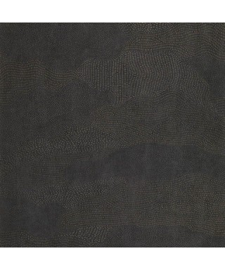 NUBIO 201136969