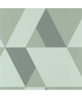 PERCEPTION TANGRAM VERT DE GRIS