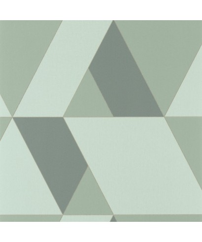 PERCEPTION TANGRAM VERT DE GRIS