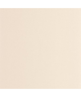 PIGMENTS 200331101
