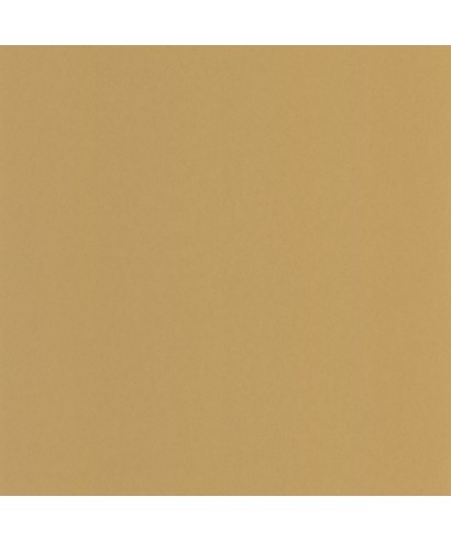PIGMENTS 200332424