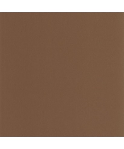 PIGMENTS 200332909