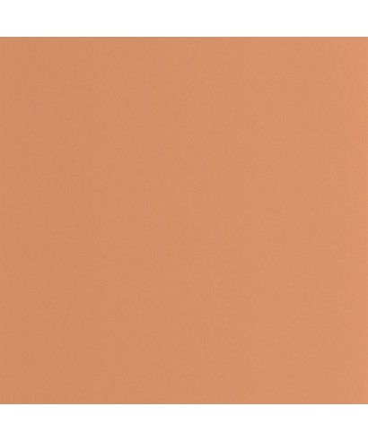 PIGMENTS 200333320