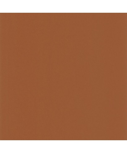 PIGMENTS 200333443