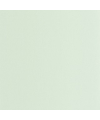 PIGMENTS 200336161