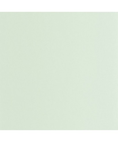 PIGMENTS 200336161