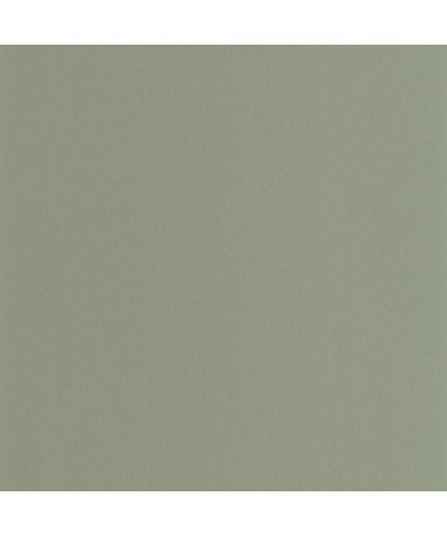PIGMENTS 200336303