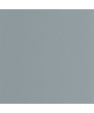PIGMENTS 200336404