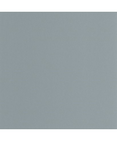 PIGMENTS 200336404