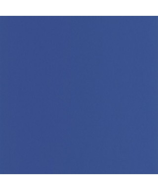 PIGMENTS 200336776