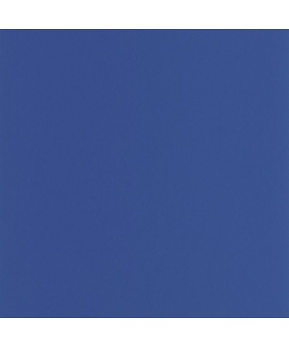 PIGMENTS 200336776
