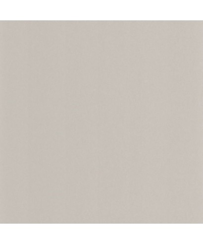 PIGMENTS 200339229