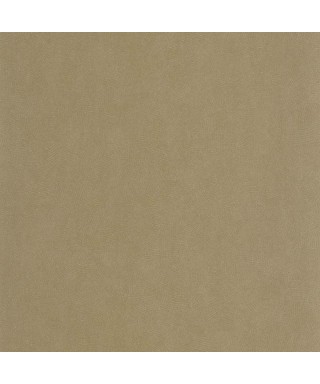 MASAYA 86421241