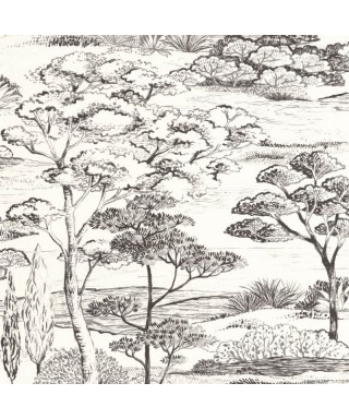 LITTORAL 200939374
